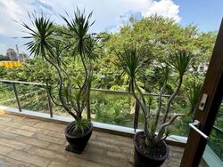 Mun Wah Garden (D26), Semi-Detached #472645801